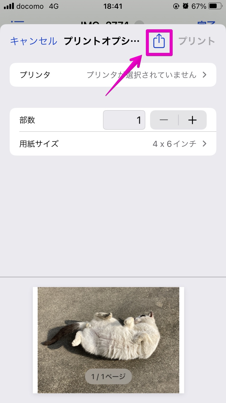 iPhone アプリ「ファイル」 共有の操作画面